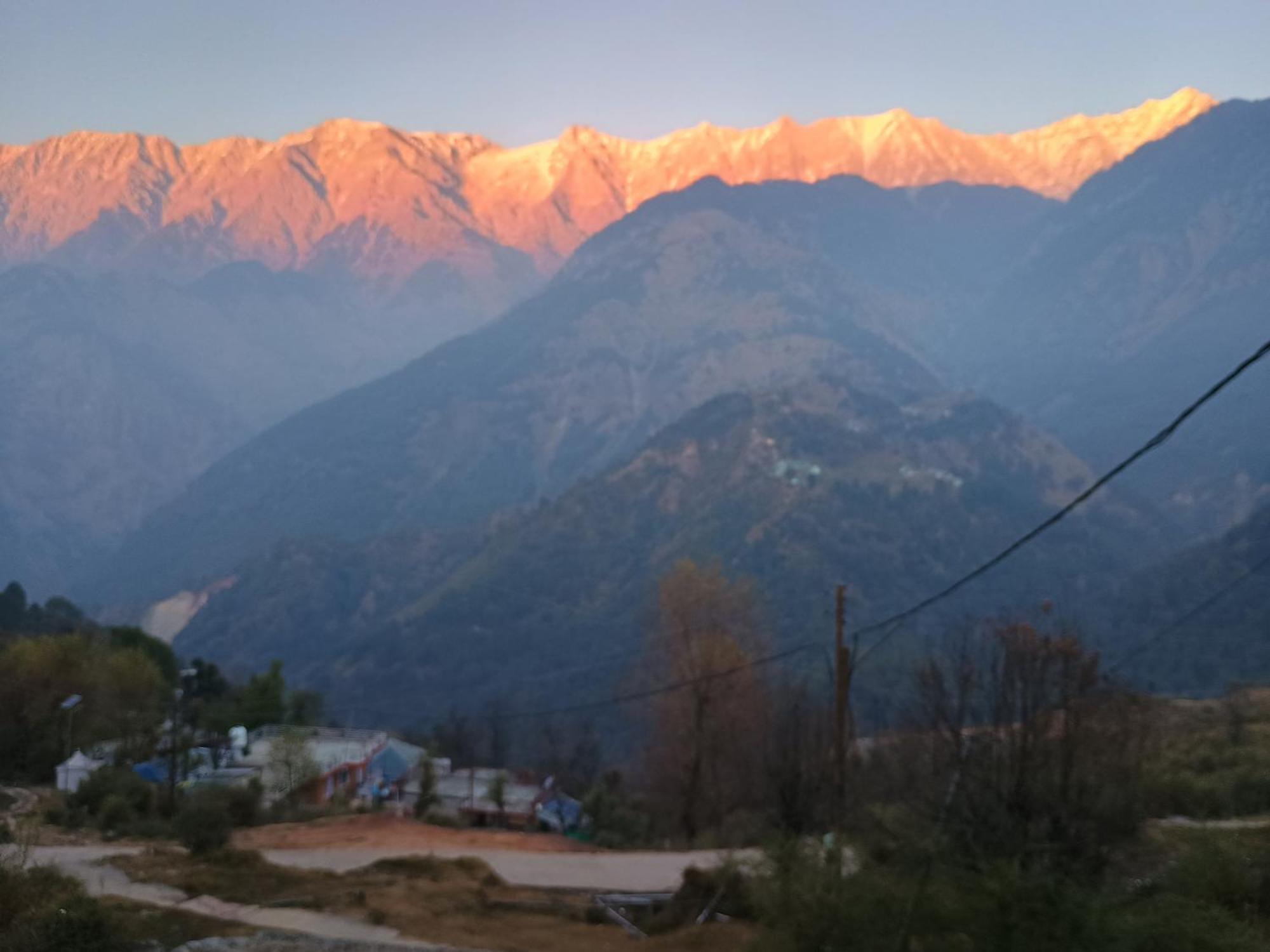 Mcleodganj Diaries Guest House Dharamshala Esterno foto